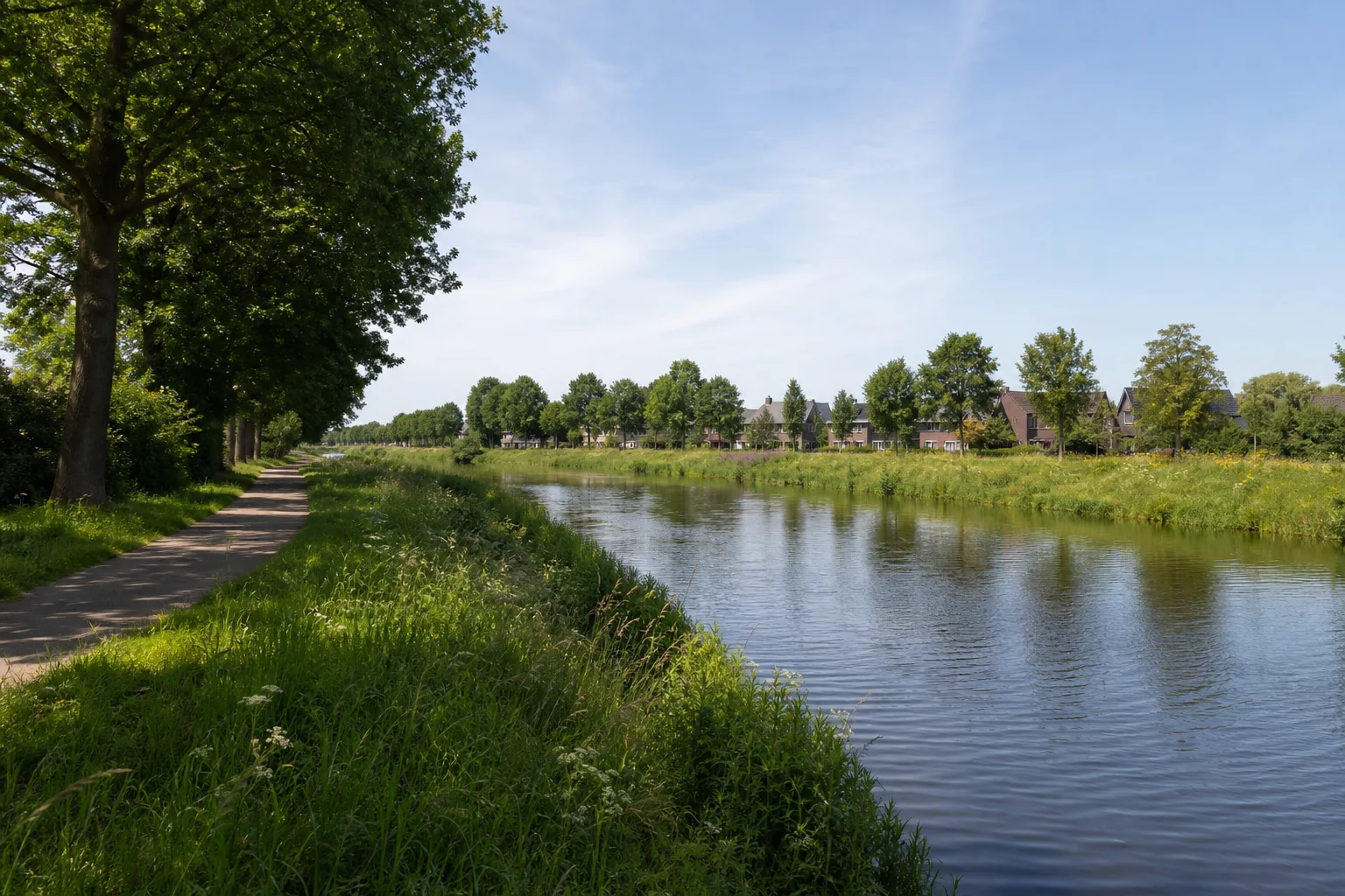 Green Aarle-Rixtel lane beside a meadow and mature trees in North Brabant