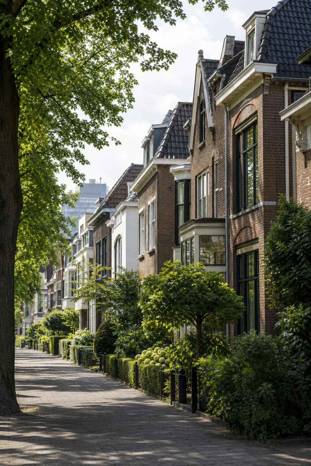 House Valuation in Elzent-Noord 1 Portrait view of a Dutch residential street and green edge in Elzent-Noord