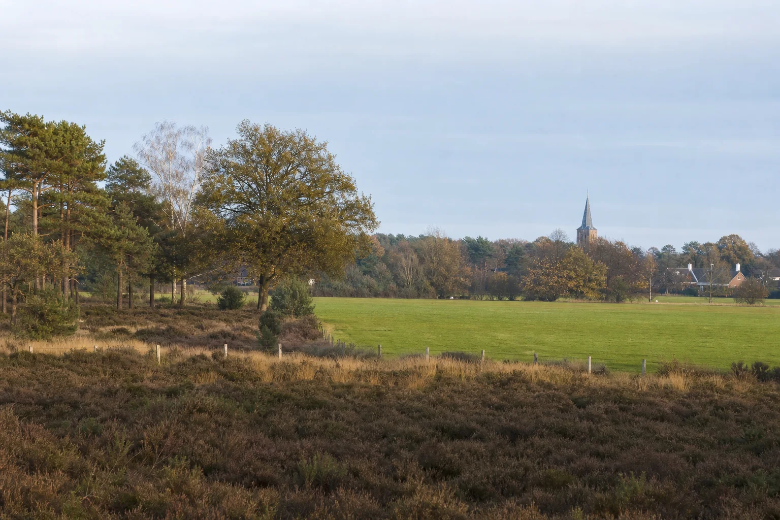 House Valuation in Heeze: Prices, Liveability & Outlook (2026) 3 Heeze landscape with open fields, trees and a church tower in North Brabant