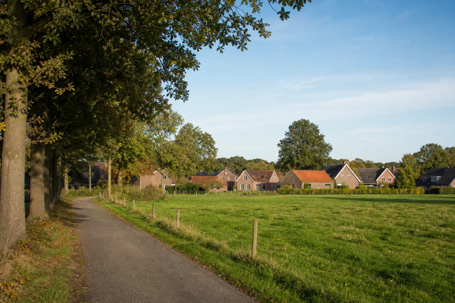 Knegsel village edge with green fields, mature trees and brick homes in North Brabant