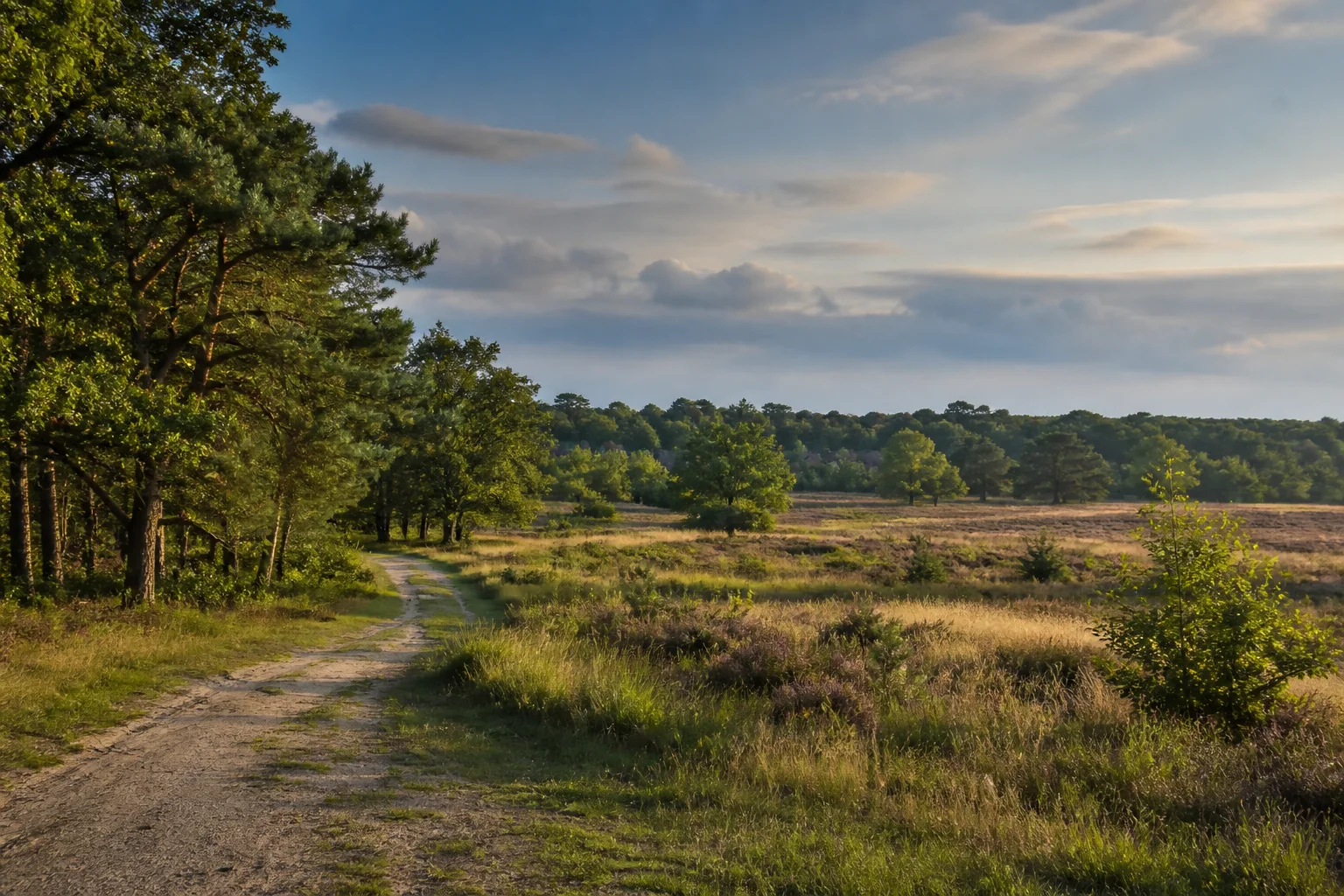 Leende village centre and green edge near the Leenderbos, North Brabant