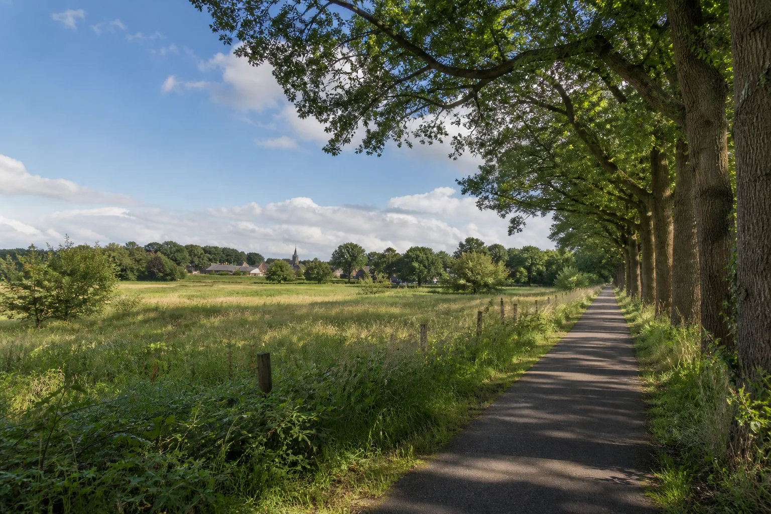House Valuation in Luyksgestel 3 Luyksgestel village and green border landscape in North Brabant