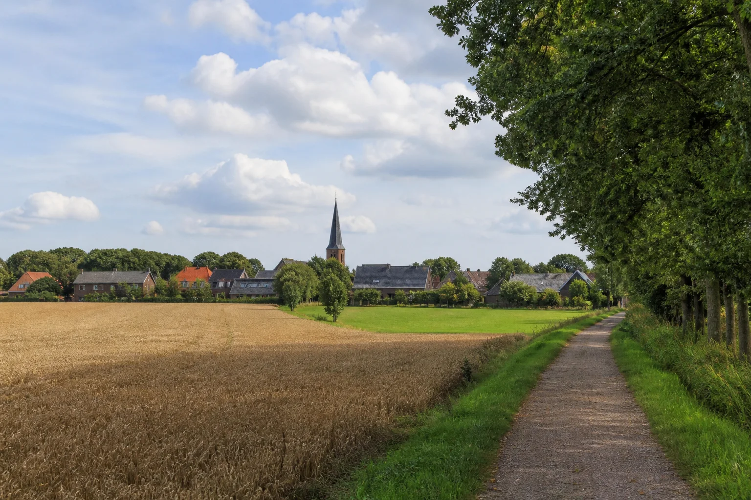 Riethoven village edge with open fields, mature trees and brick homes in North Brabant