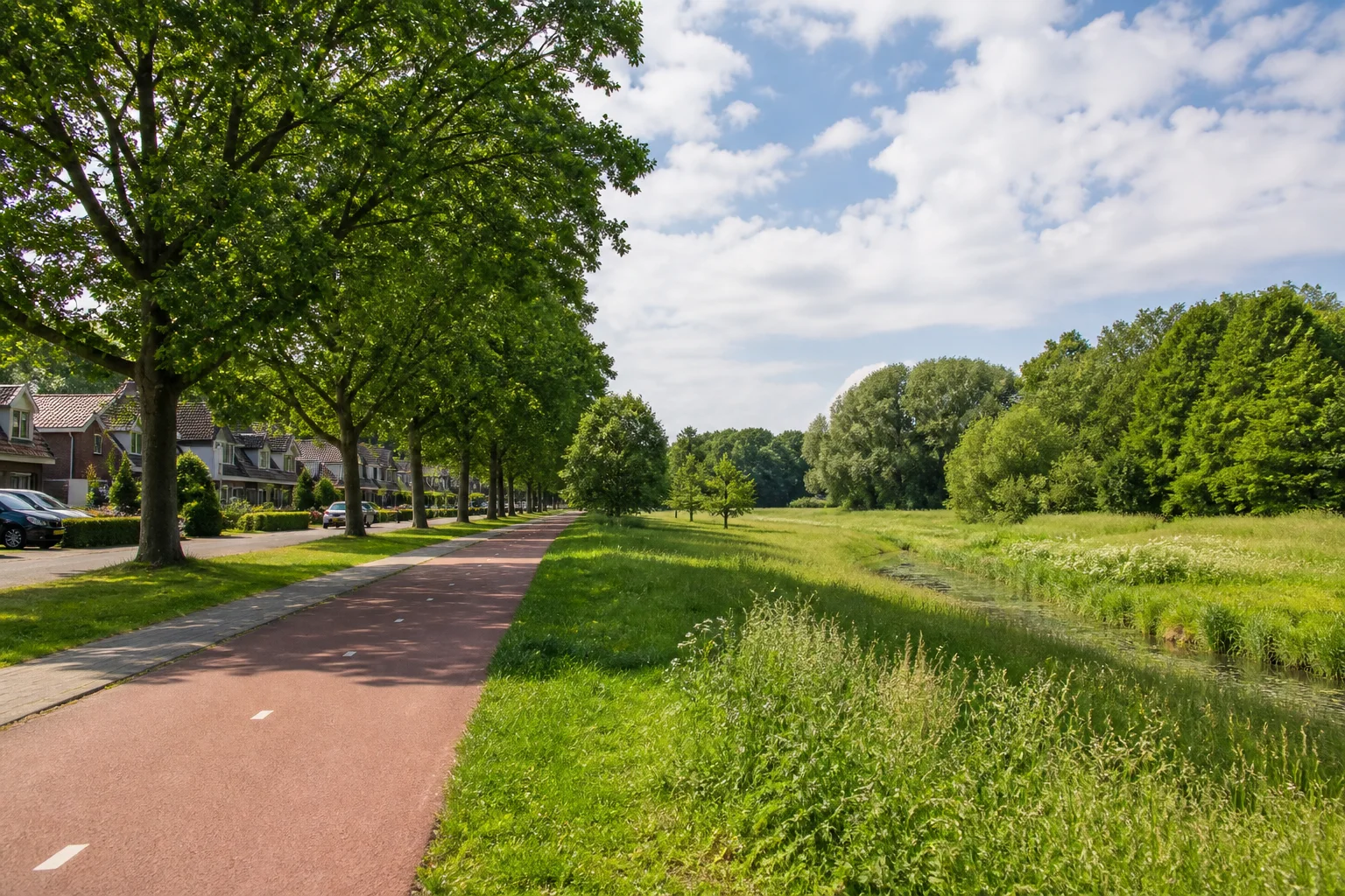 Roosten green residential streets, mature trees and local housing context