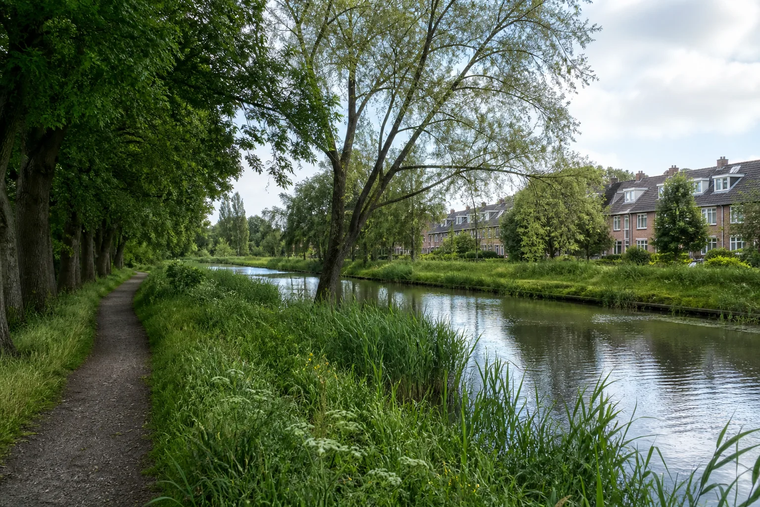 Green Tongelre cycle path beside mature trees, water and residential homes in Eindhoven
