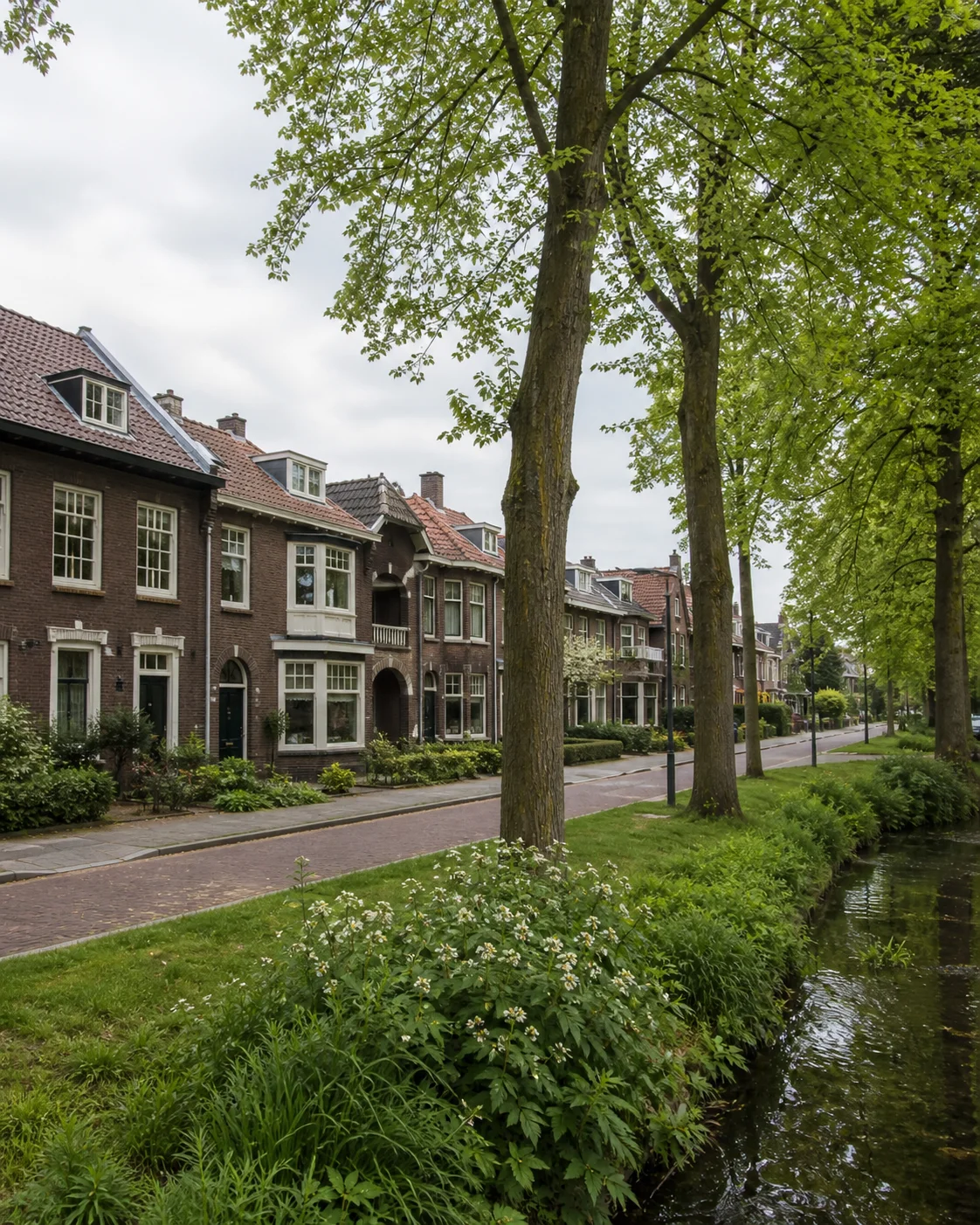 Quiet tree-lined residential street with Dutch homes in Tongelre, North Brabant