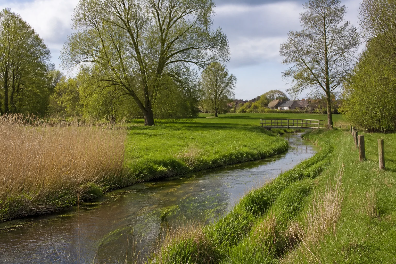 House Valuation in Vessem 3 Vessem village edge with green fields, mature trees and brick homes in North Brabant