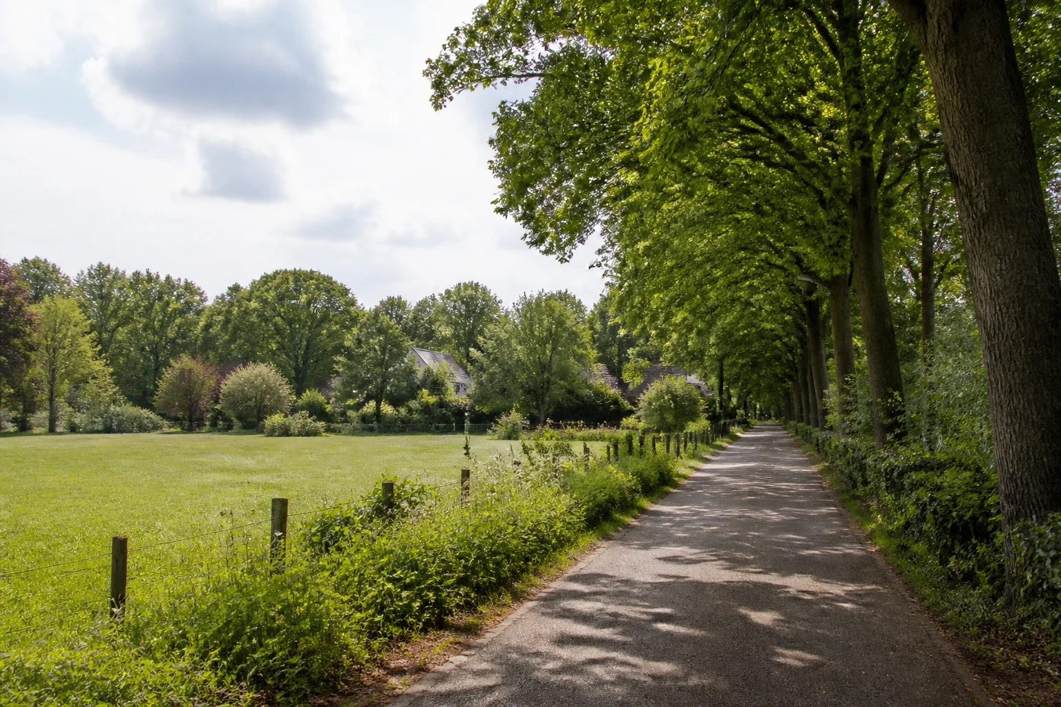 Green Waalre lane beside a meadow and mature trees in North Brabant