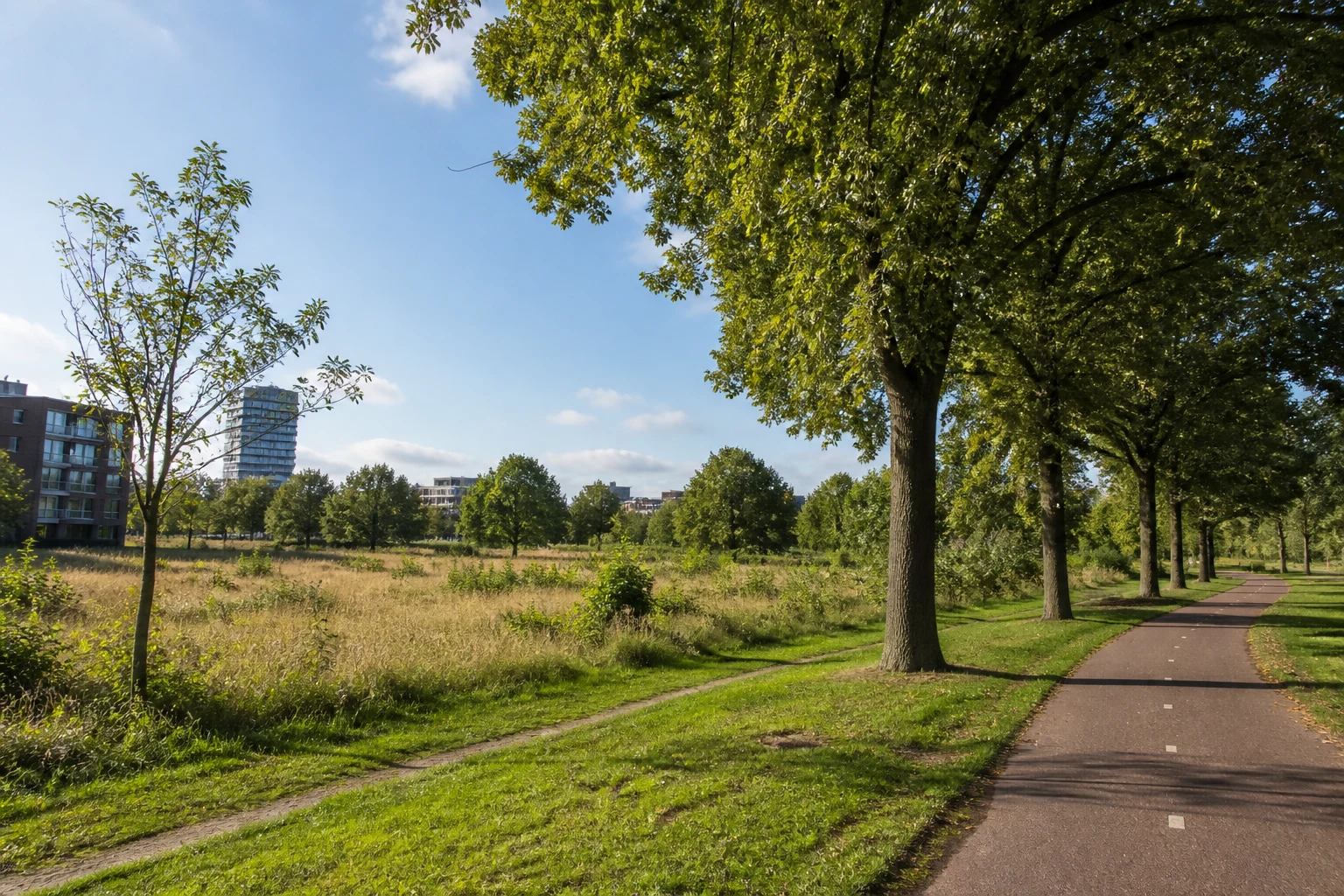 House Valuation in Woenselse Heide 4 Woenselse Heide local context with Nederlandplein, residential streets and green routes in Eindhoven